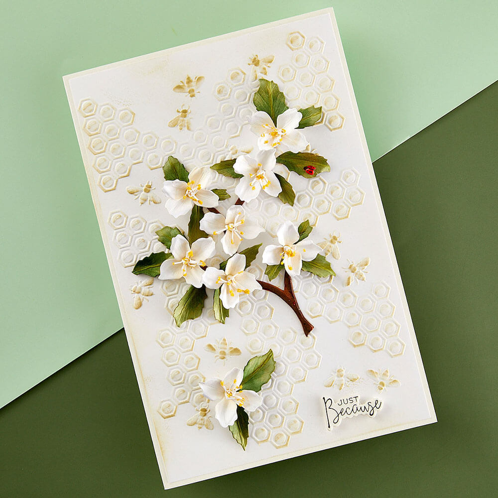Spellbinders 3D Embossing Folder - Through the Arbor Garden Collection - Bee-Cause (by Susan Tierney-Cockburn) 