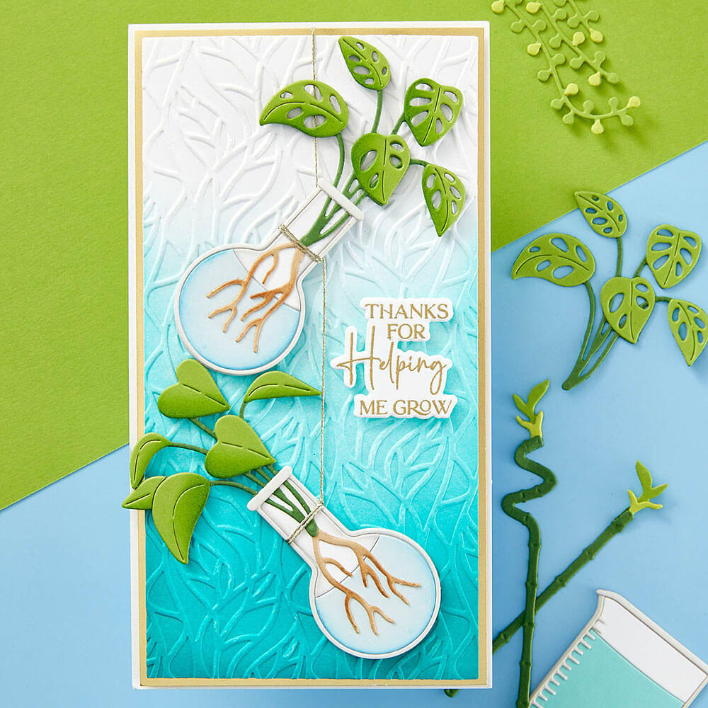 Spellbinders Clear Stamps and Die Set - Propagation Garden Collection - Propagation Garden Sentiments By Annie Williams