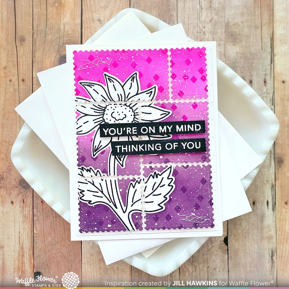 Waffle Flower Clear Stamps - Sketched Aster 421655