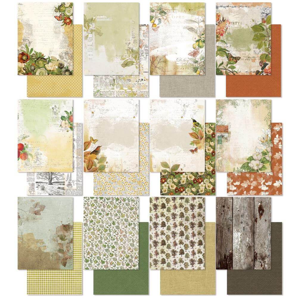 49 And Market Collection Pack 6"X8" - Vintage Orchard