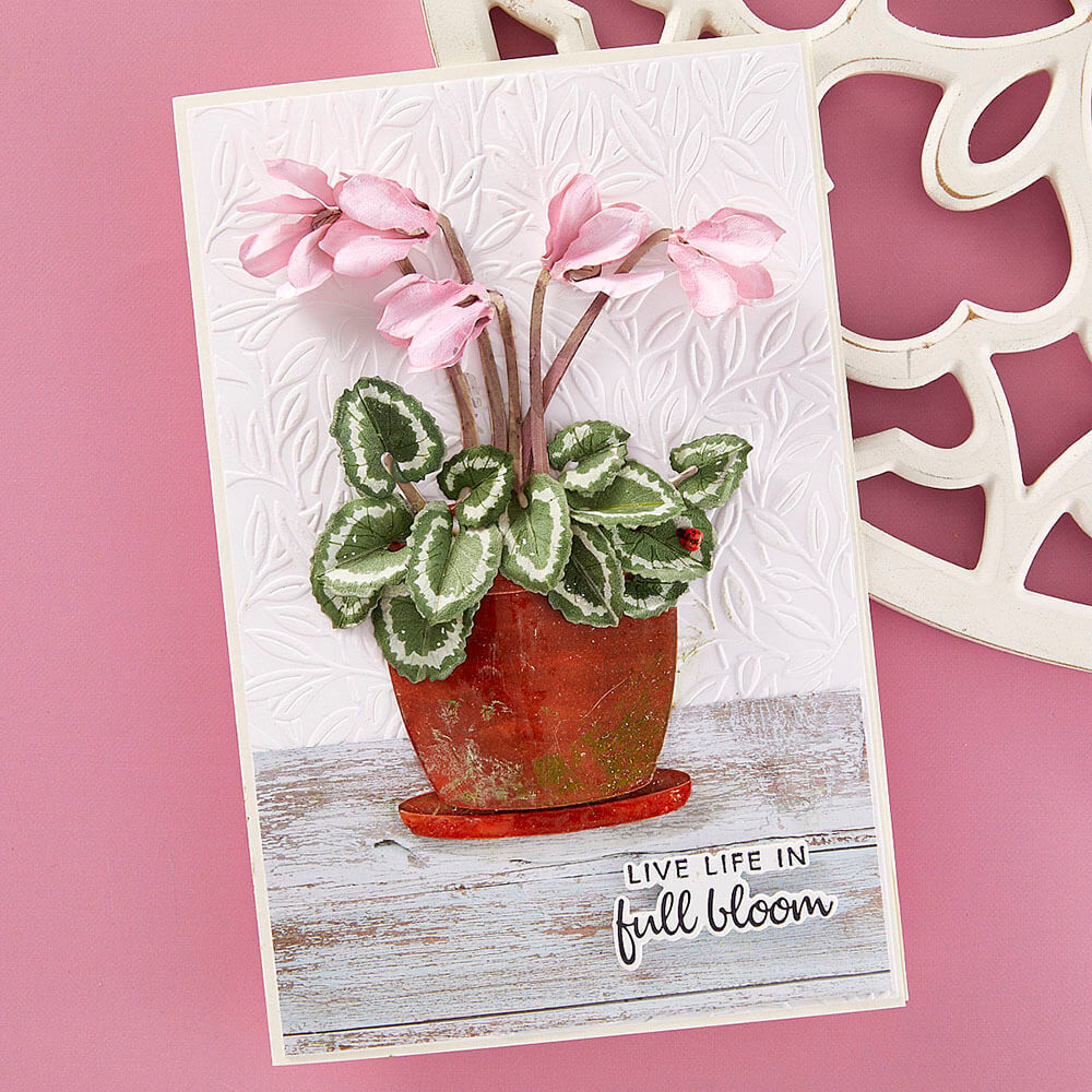 Spellbinders Etched Dies  - Cyclamen (by Susan Tierney-Cockburn) S4-1361