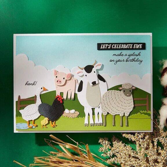 Spellbinders Clear Stamps & Die Set - On the Farm Collection - Honk Honk