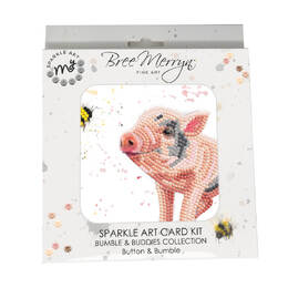 Bree Merryn Sparkle Art Card Kit - Button & Bumble BMSA24