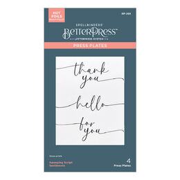 Spellbinders Press Plates - Vivid Expressions Collection - Sweeping Script Sentiments BP-268