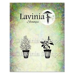 Lavinia Stamps - Dill & Sage Pots LAV939