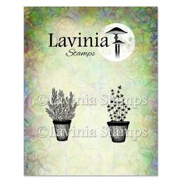 Lavinia Stamps - Rosemary & Thyme Pots LAV948