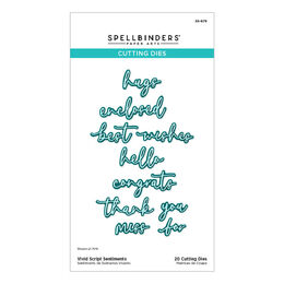 Spellbinders Etched Dies - Vivid Expressions Collection - Vivid Script Sentiments S5-679